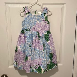 Toddler Girl 3T Gymboree Dress